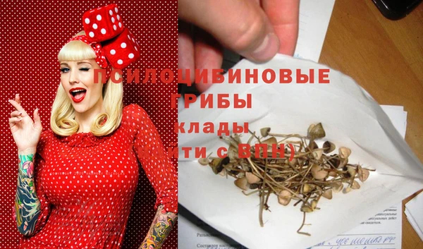 скорость mdpv Белокуриха